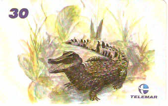 AM-346 - Fauna e Flora - I1 - 09/12