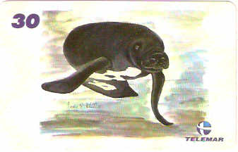 AM-347 - Fauna e Flora - I1 - 10/12