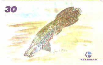 AM-348 - Fauna e Flora - I1 - 11/12