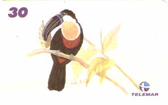 AM-349 - Fauna e Flora - I1 - 12/12