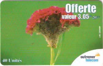FA-OUT-155 - Flor