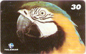 AP-053 - Arara Canindé