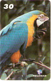 AP-090 - Arara Canindé
