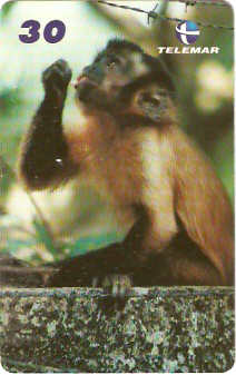 AP-101 - Macaco Prego