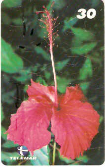 AP-103 - Papoula Vermelha