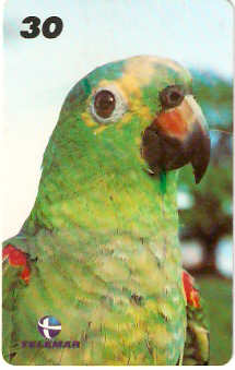 AP-106 - Papagaio Moleiro