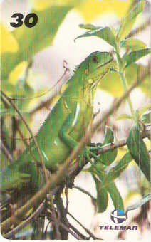 AP-138 - Lagarto