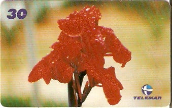 AP-141 - Flores - 2/3