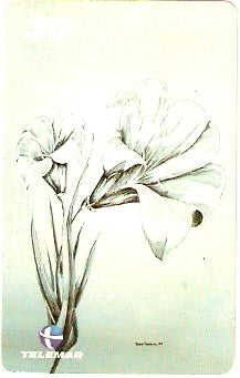 AP-142 - Galeria Richardson - 1/8