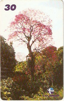 AP-160 - Ipês - 2/2