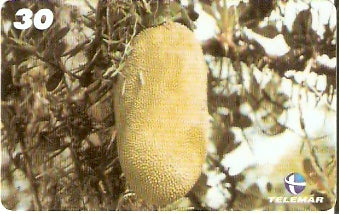 AP-168 - Frutas - 2/5