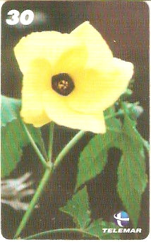 AP-174 - Flores - 3/5