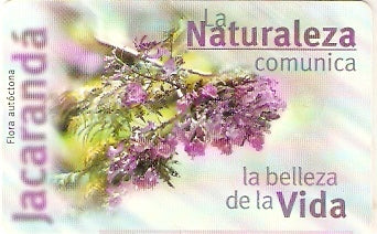 ARGE-E-002 - Jacarandá