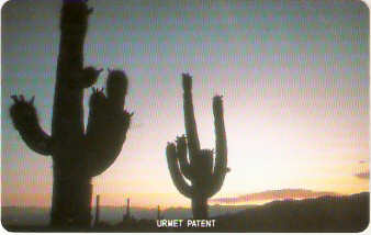 ARG-U-07M - Dois Cactus