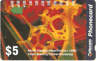 AUS-087 - Marine Plankton
