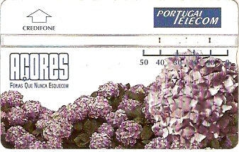 Azo-01 - Flores