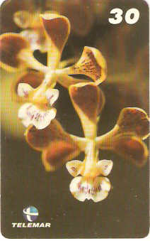 BA-169 - Orquídeas - 10/10