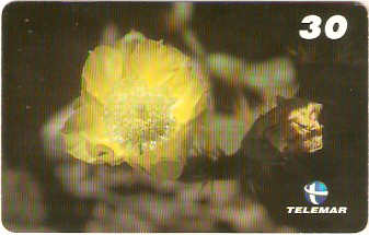 BA-183 - Flora do Parque - 2