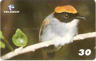 BA-198 - Aves - 05/20