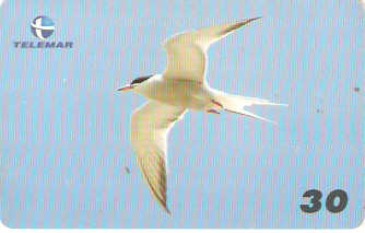 BA-199 - Aves - 06/20
