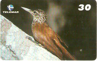 BA-200 - Aves - 07/20