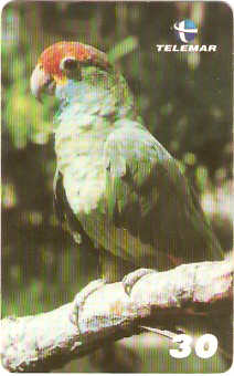 BA-209 - Aves - 16/20
