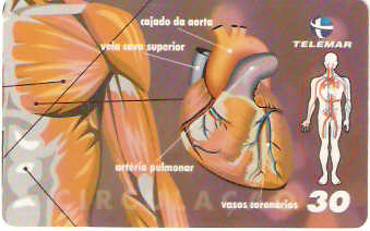 BA-464 -  Corpo Humano - 04/10