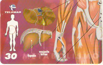 BA-465 -  Corpo Humano - 05/10