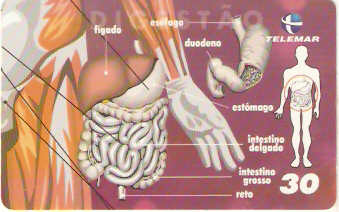 BA-466 -  Corpo Humano - 06/10