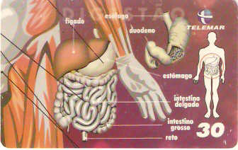BA-466a -  Corpo Humano - 06/10