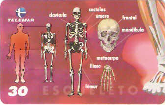 BA-469 -  Corpo Humano - 09/10