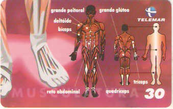 BA-470 -  Corpo Humano - 10/10