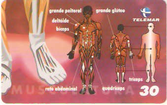 BA-470a -  Corpo Humano - 10/10