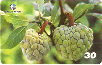 BA-604 - Frutas - 03/10