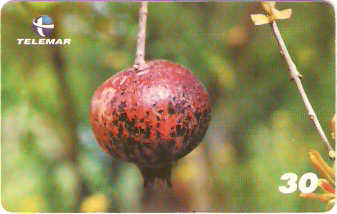 BA-605 - Frutas - 04/10