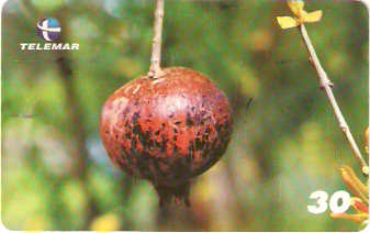 BA-605b - Frutas - 04/10
