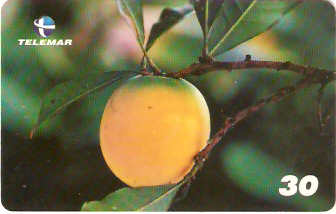 BA-606 - Frutas - 05/10