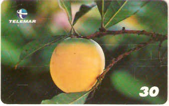 BA-606b - Frutas - 05/10