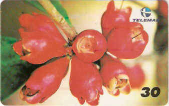 BA-608a -  Frutas - 07/10