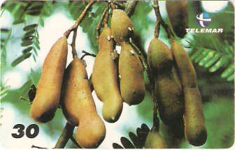 BA-609 - Frutas - 08/10