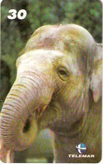 BA-754 - Grandes Animais - 03/10