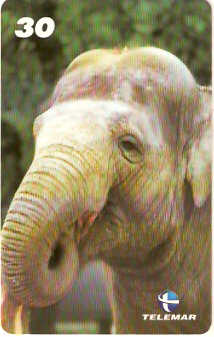BA-754b - Grandes Animais - 03/10