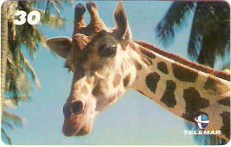 BA-755 - Grandes Animais - 04/10