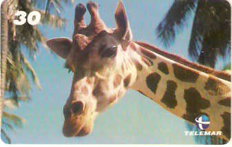 BA-755b - Grandes Animais - 04/10