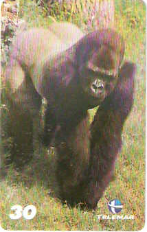 BA-756 - Grandes Animais - 05/10