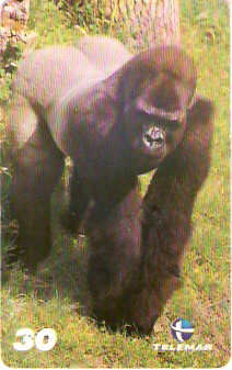 BA-756a - Grandes Animais - 05/10