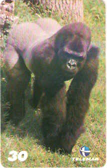 BA-756b - Grandes Animais - 05/10