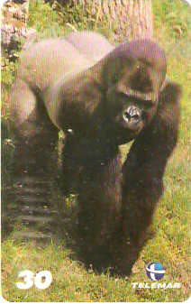 BA-756c - Grandes Animais - 05/10