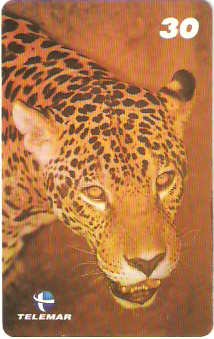 BA-758a - Grandes Animais - 07/10