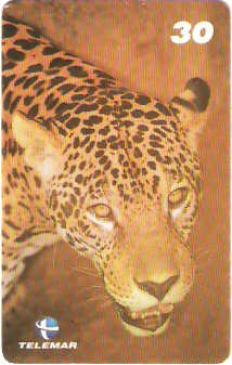 BA-758b - Grandes Animais - 07/10